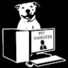PIT GADGET paveikslėlis