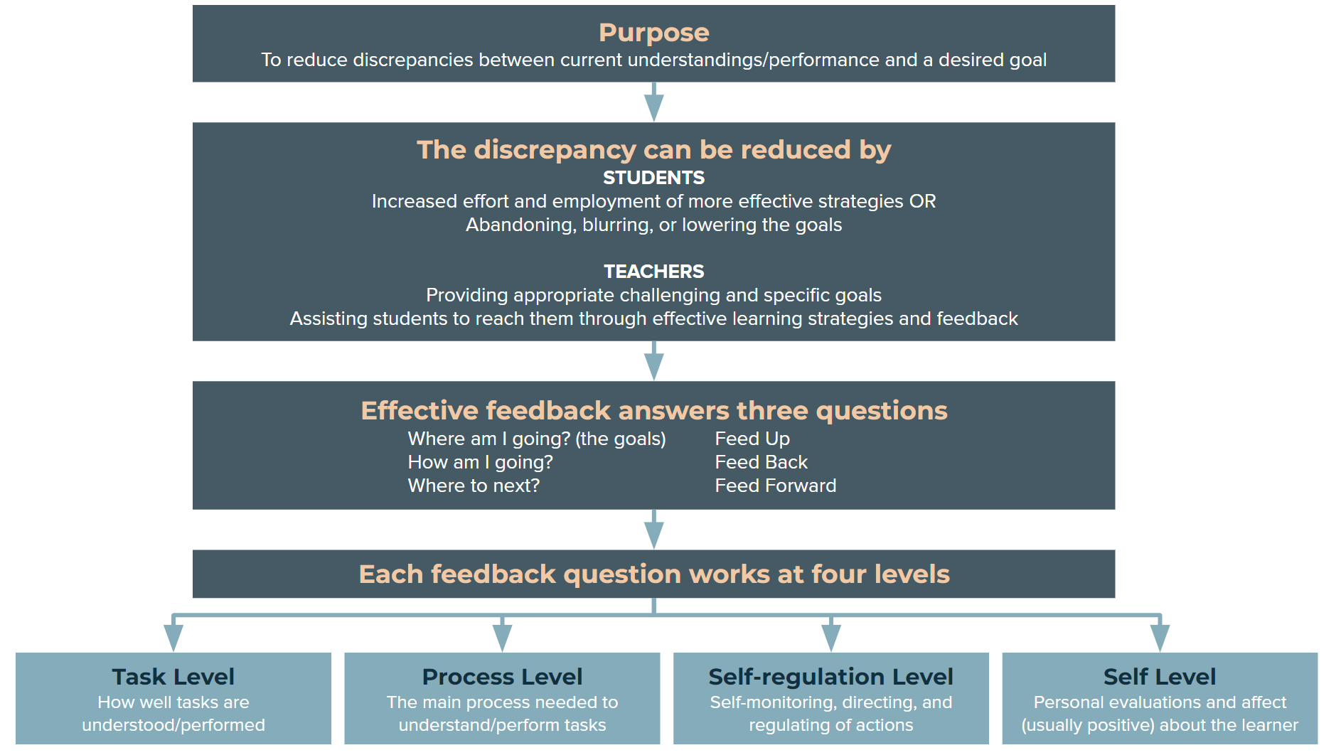 Feedback model