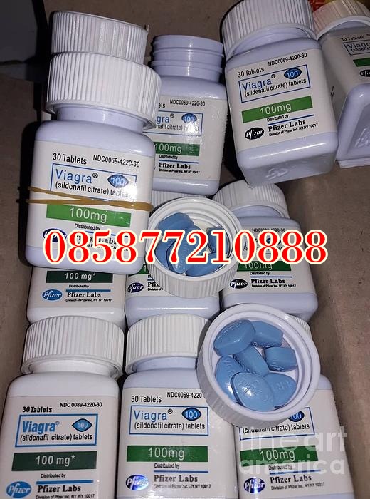 Priedas viagra 1.jpg